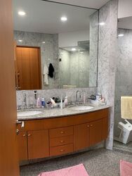 The Edge On Cairnhill (D9), Condominium #611914581